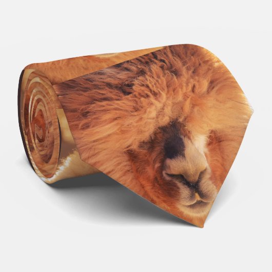 美しいラマのアルパカ ネクタイ (ロール)