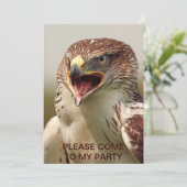 美しいランナーファルコンの招待状 招待状 (スタンド正面)