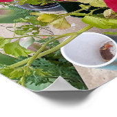 美しいランヌンキュラス春フラワーガーデンポスター ポスター (角)