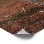 美しいラーチャー犬 ポスター (角)