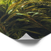 美しいリオデジャネイロブラジル旅行 ポスター (角)