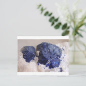 美しいリッチ・ラピス ポストカード (スタンド正面)