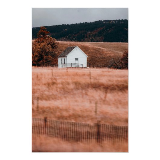 美しいリトルホワイト建物インゴールデンメドウ ポスター (正面)