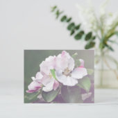 美しいリンゴの木の花 春のポストカード ポストカード (スタンド正面)