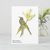 美しいリージェント本眼鏡鳥 招待状 (スタンド正面)