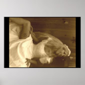 美しいレズ結婚ビアンのドレス02 ポスター (正面)