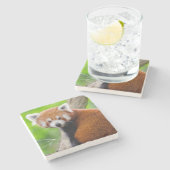美しいレッサーパンダ (Ailurus fulgens) ストーンコースター (横)