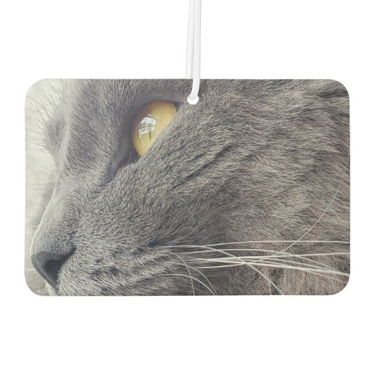 美しいロシアの青い猫クローズプロファイルネベルン カーエアーフレッシュナー (裏面)