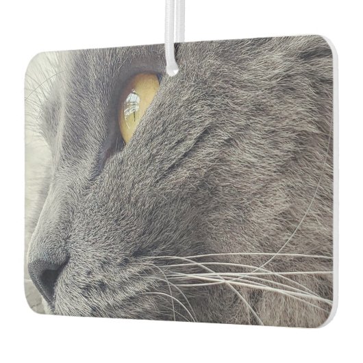 美しいロシアの青い猫クローズプロファイルネベルン カーエアーフレッシュナー (左)