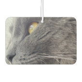 美しいロシアの青い猫クローズプロファイルネベルン カーエアーフレッシュナー (正面)