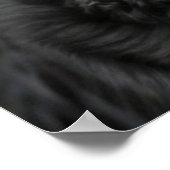 美しいロットワイラー犬のポスター ポスター (角)