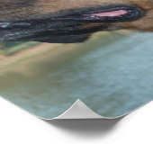 美しいロットワイラー ポスター (角)