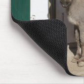 美しいロバ マウスパッド (コーナー)