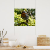 美しいロビン ポスター (キッチン)