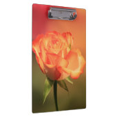 美しいロマンチックなバラ写真 クリップボード (右)