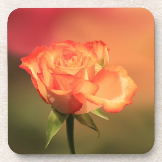美しいロマンチックなバラ写真 コースター (正面)