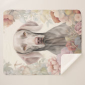 美しいワイマラン シェルパブランケット (正面(横))