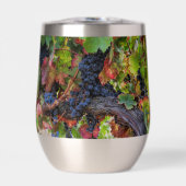 美しいワインブドウとつる植物 (正面)