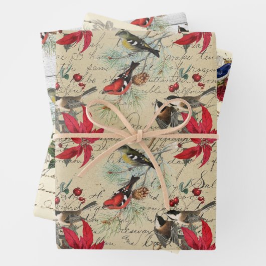 美しいヴィンテージのクリスマスバードパターン ラッピングペーパーシート (インサイチュ)