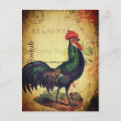 美しいヴィンテージのルースターポストカード ポストカード (正面)