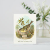 美しいヴィンテージの鳥あなたの挨拶を追加 ポストカード (スタンド正面)