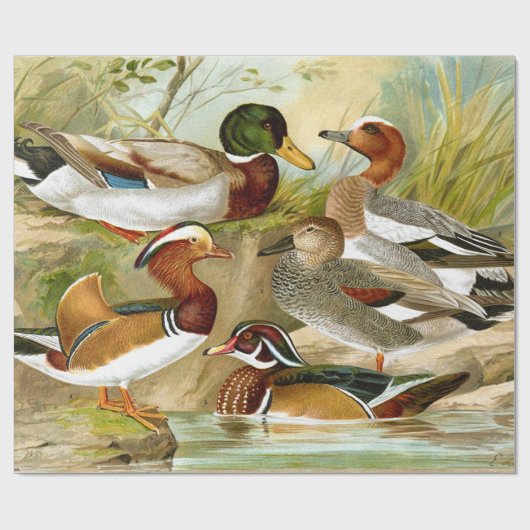 美しいヴィンテージアヒルの池のデコパージュ ラッピングペーパー (フラット)