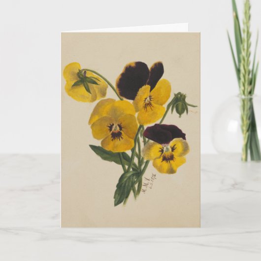 美しいヴィンテージイースターイエローパンジーカード カード (正面)