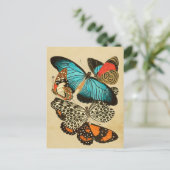 美しいヴィンテージガーデンチョウ ポストカード (スタンド正面)