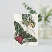 美しいヴィンテージグリーンピンクガーデンバタフライ ポストカード (スタンド正面)