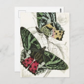 美しいヴィンテージグリーンピンクガーデンバタフライ ポストカード (正面/裏面)