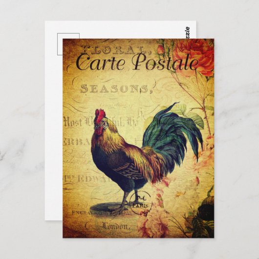 美しいヴィンテージゴールデンルースターポストカード ポストカード (正面/裏面)