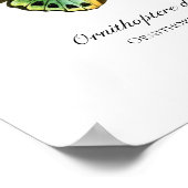 美しいヴィンテージバタフライプリント ポスター (角)