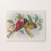 美しいヴィンテージバードイラストレーションパズル ジグソーパズル (横)