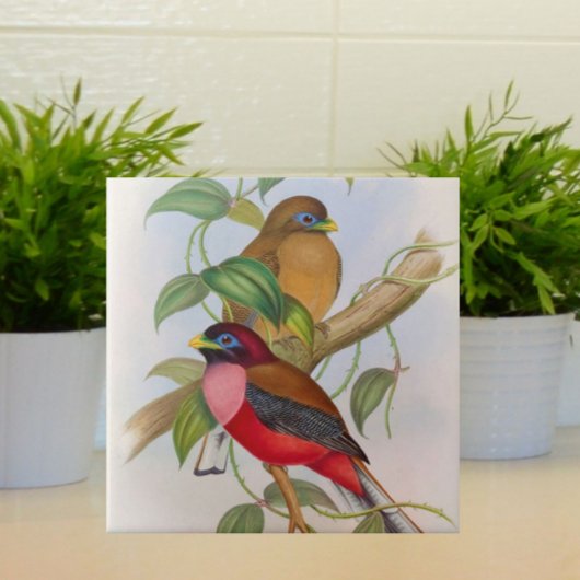 美しいヴィンテージバードイラストレーション カラフル タイル