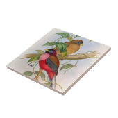 美しいヴィンテージバードイラストレーション カラフル タイル (側面)