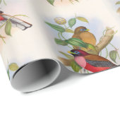 美しいヴィンテージバードイラストレーション カラフル ラッピングペーパー (ロールコーナー)