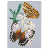 美しいヴィンテージフローラバタフライイラストレーション クリップボード (裏面)