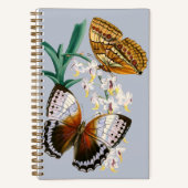美しいヴィンテージフローラバタフライイラストレーション ノートブック (正面)