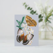 美しいヴィンテージフローラバタフライイラストレーション ポストカード (スタンド正面)