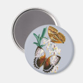 美しいヴィンテージフローラバタフライイラストレーション マグネット (正面/裏面)