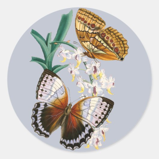 美しいヴィンテージフローラバタフライイラストレーション ラウンドシール (正面)