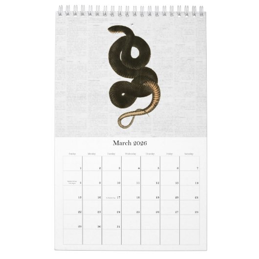 美しいヴィンテージヘビ自然 カレンダー (3月 2026)