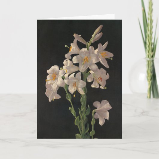 美しいヴィンテージホワイトイースターライズカード カード (正面)