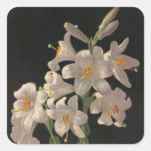 美しいヴィンテージホワイトイースターリリーのシール スクエアシール (正面)