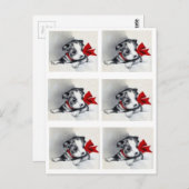 美しいヴィンテージボストンテリアパピー ポストカード (正面/裏面)