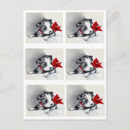 美しいヴィンテージボストンテリアパピー ポストカード