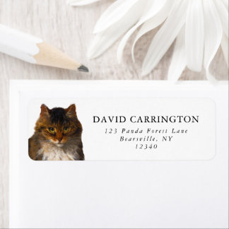 美しいヴィンテージメインクーンキャットポートレート絵を描ズ ラベル