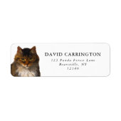 美しいヴィンテージメインクーンキャットポートレート絵を描ズ ラベル (正面)