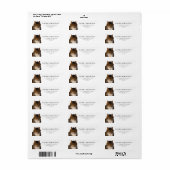 美しいヴィンテージメインクーンキャットポートレート絵を描ズ ラベル (フルシート)