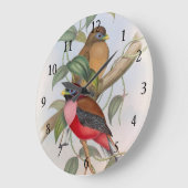 美しいヴィンテージラブバードのアクリルウォールクロック ラージ壁時計 (傾斜)